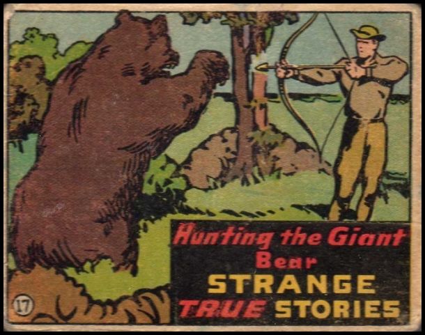 17 Hunting the Giant Bear